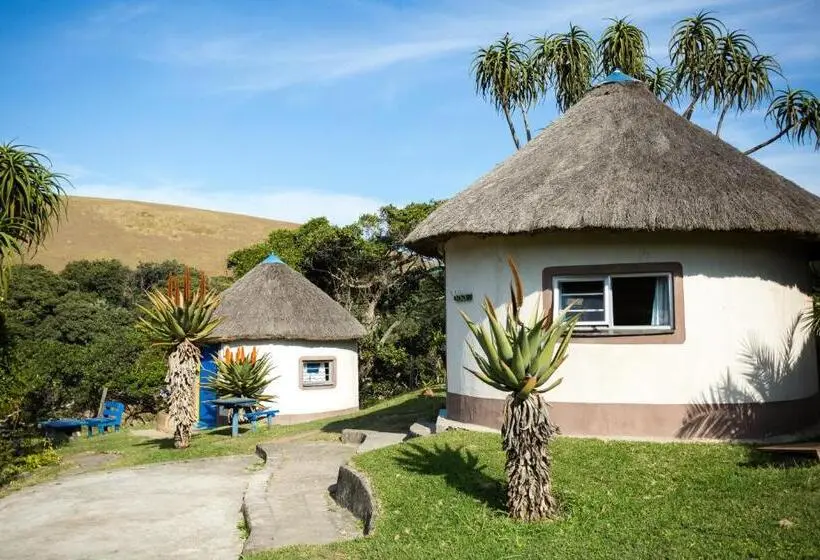 バス共有のスタンダードルーム, Coffee Shack Adventure Backpackers & Self Catering