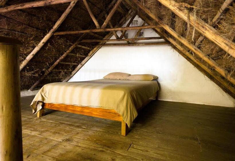 Дом 1 Спальня, Coffee Shack Adventure Backpackers & Self Catering