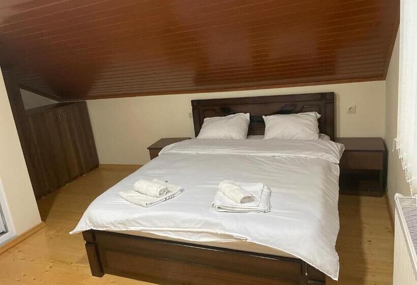 اتاق لوکس, Mtskheta Wellpoint Arsukidze 48