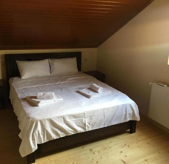 اتاق لوکس, Mtskheta Wellpoint Arsukidze 48