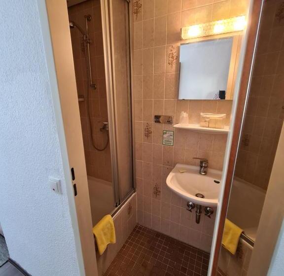 单人基本间, & Restaurant Krone