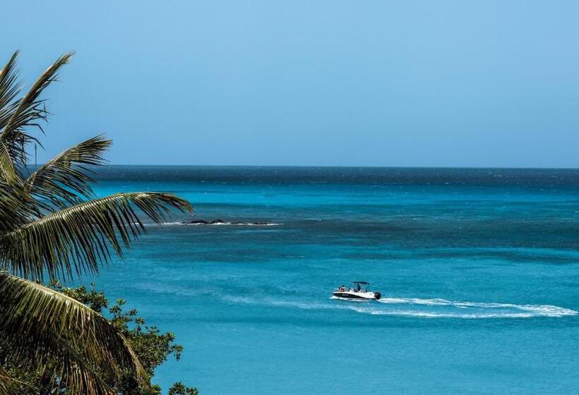 اتاق لوکس, Ocean V