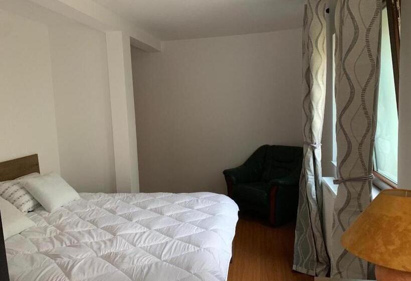 ２ベッドルームアパートメント, Viking Apartment Grigo