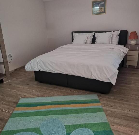 استودیو استاندارد با بالکن, Viking Apartment Grigo