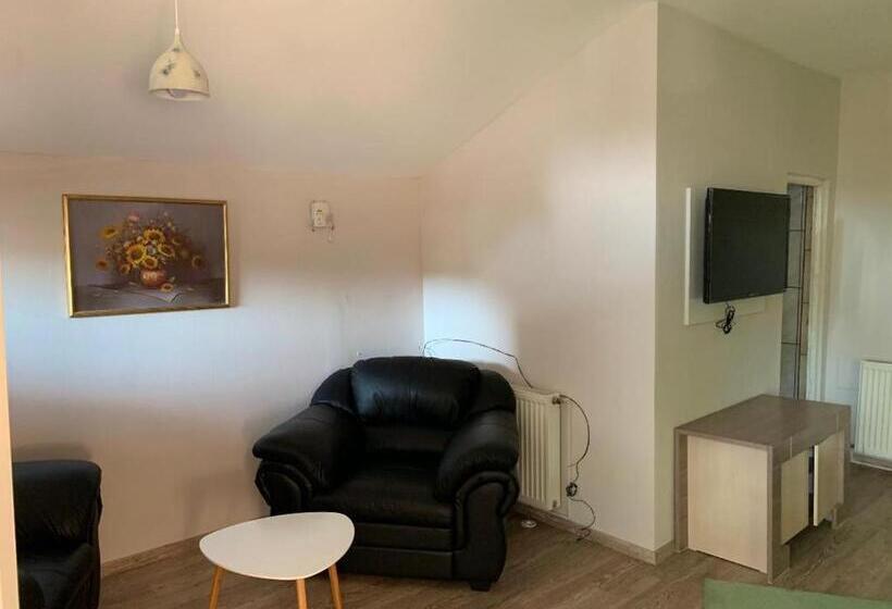 バルコニー付きスタンダードステューディオ, Viking Apartment Grigo