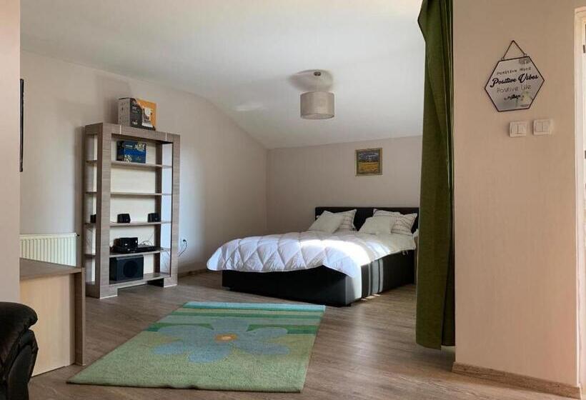 バルコニー付きスタンダードステューディオ, Viking Apartment Grigo