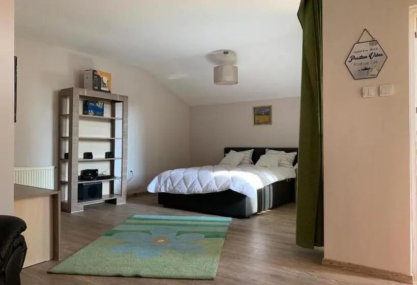 Standard-studio Parveke, Viking Apartment Grigo