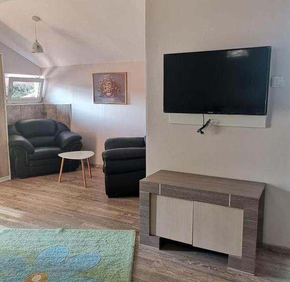 استودیو استاندارد با بالکن, Viking Apartment Grigo