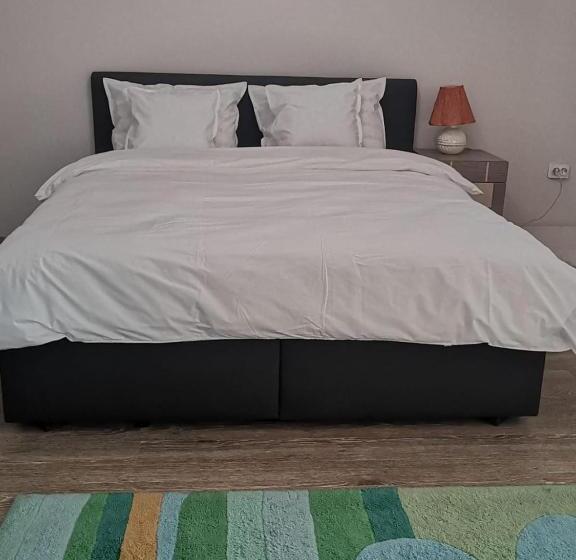 バルコニー付きスタンダードステューディオ, Viking Apartment Grigo