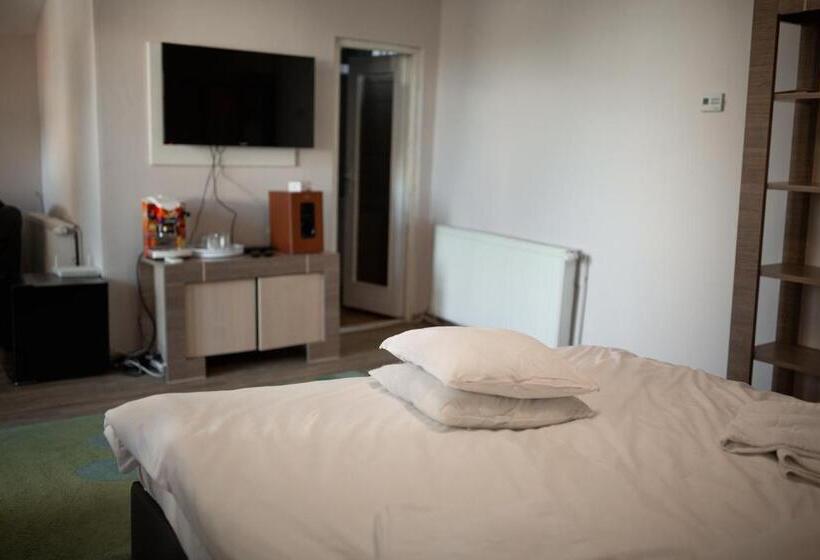 استودیو استاندارد با بالکن, Viking Apartment Grigo