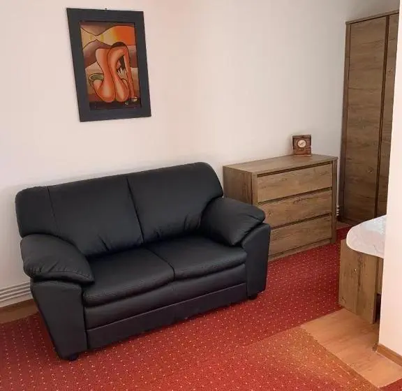 Standard-studio, Viking Apartment Grigo
