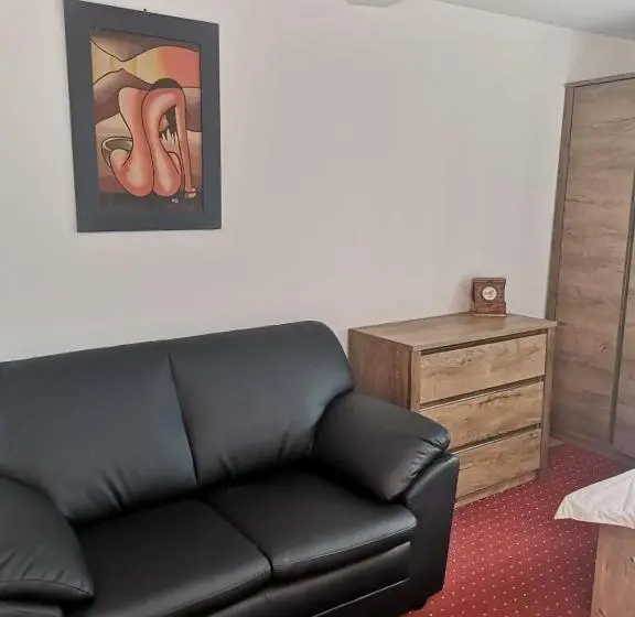 Standard-studio, Viking Apartment Grigo