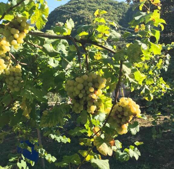 标准间带露台, B&b Da Felice