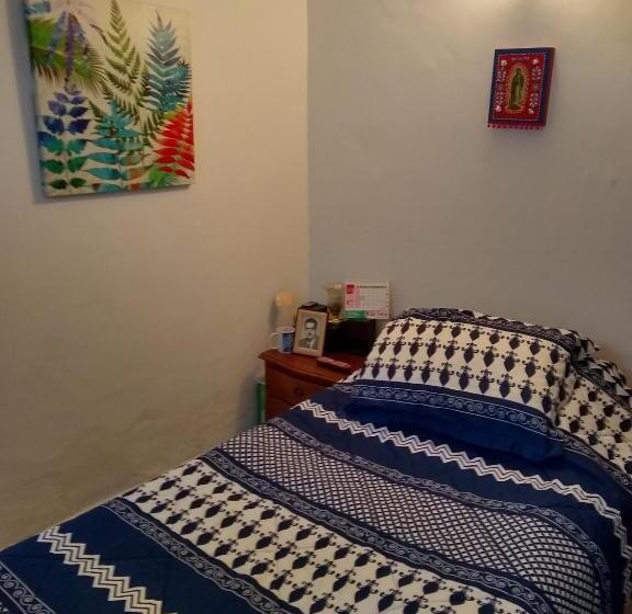 اتاق اکونومی یک تخته, Casa Turística Camitas Inn