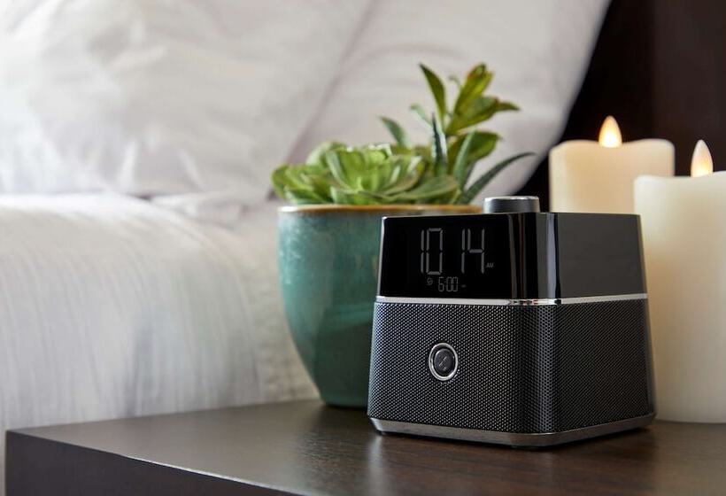 标准间, Best Western Wesley Inn & Suites