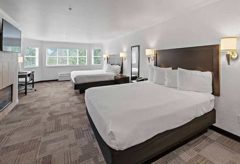 标准间, Best Western Wesley Inn & Suites