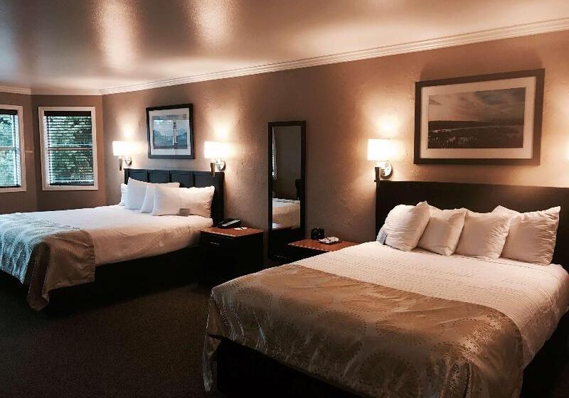 标准间, Best Western Wesley Inn & Suites