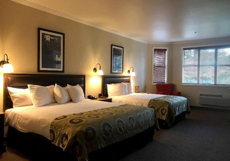 标准间, Best Western Wesley Inn & Suites