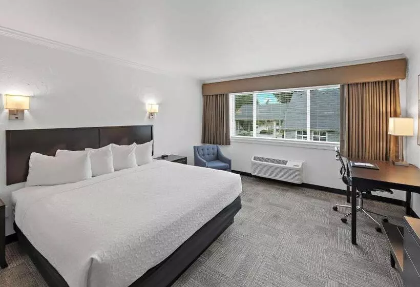 身障者適用キングサイズベッドルーム, Best Western Wesley Inn & Suites