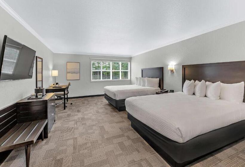 标准间, Best Western Wesley Inn & Suites