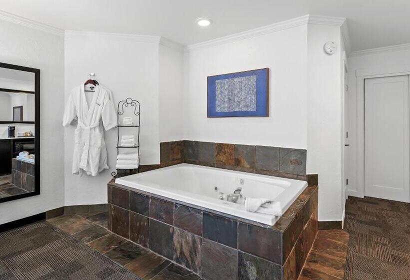 Номер Стандарт, Best Western Wesley Inn & Suites