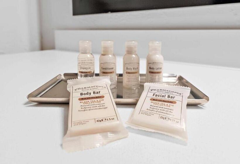 带特大床的标准间, Best Western Wesley Inn & Suites