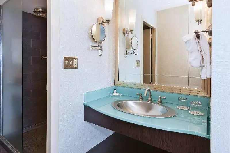 اتاق استاندارد با تخت بزرگ, Crowne Plaza Syracuse, An Ihg