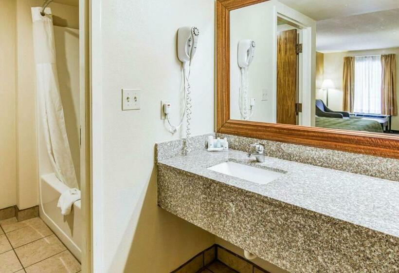 غرفة قياسية سرير كينج, Quality Inn