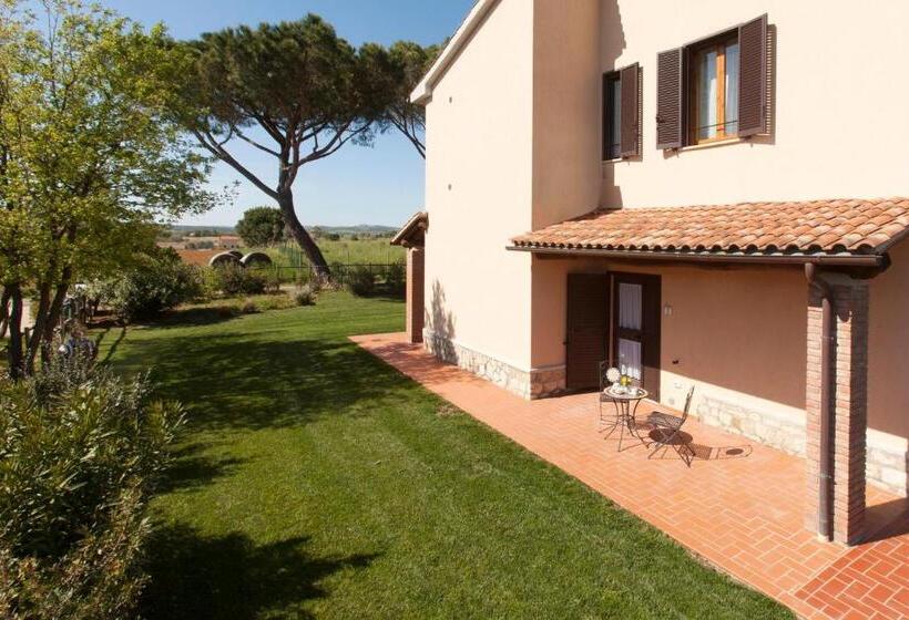 חדר סטנדרט, Agriturismo Colle Oliveto