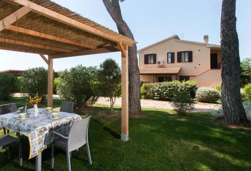 Апартаменты 1 Спальня, Agriturismo Colle Oliveto
