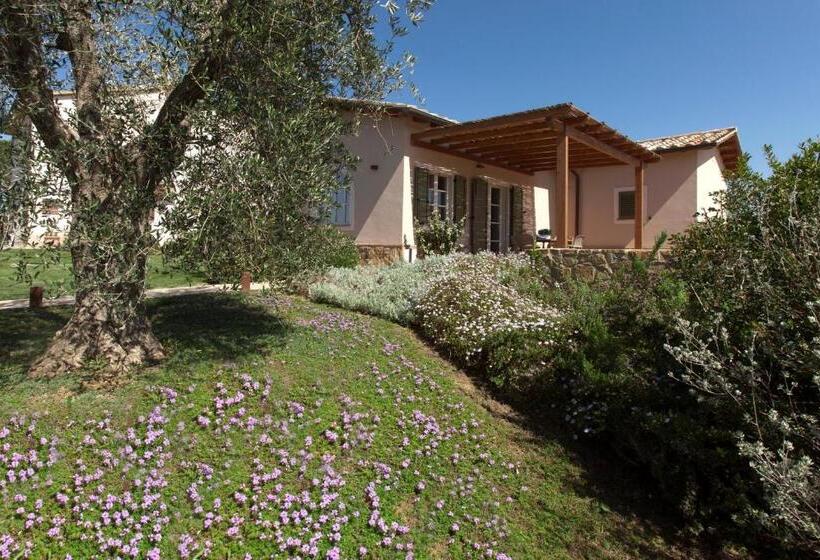 דירת חדר נוף לבריכה, Agriturismo Colle Oliveto