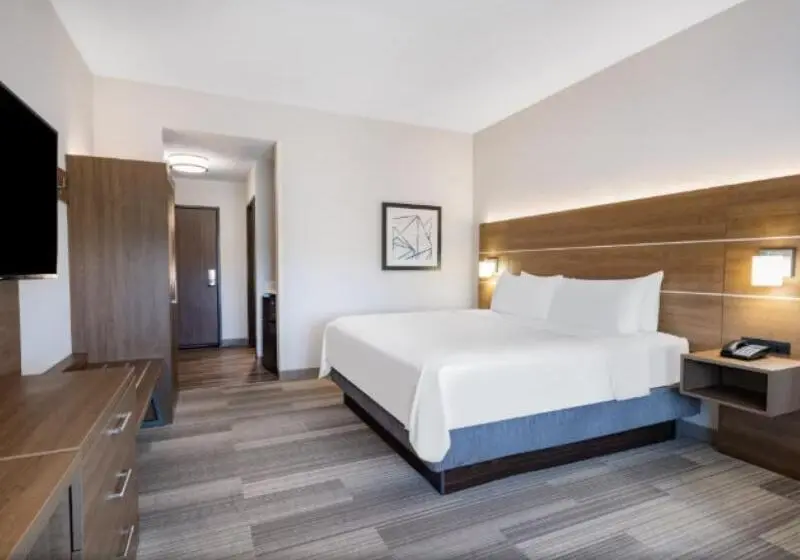 キングサイズベッドのスイートルーム, Holiday Inn Express & Suites   Ruskin, An Ihg