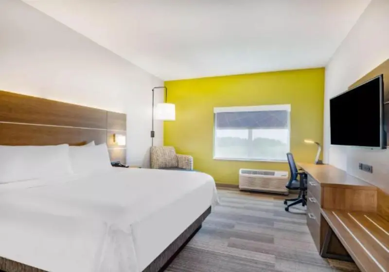 身障者適用キングサイズベッドルーム, Holiday Inn Express & Suites   Ruskin, An Ihg