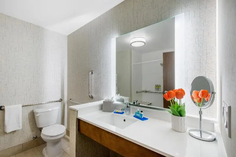 スタンダードルーム, Holiday Inn Express & Suites   Ruskin, An Ihg