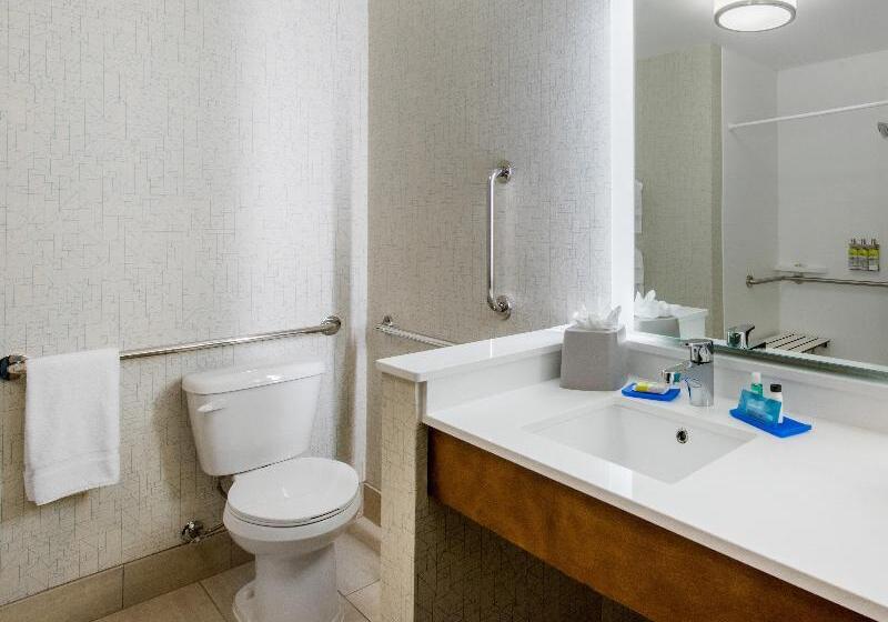 غرفة قياسية, Holiday Inn Express & Suites   Ruskin, An Ihg