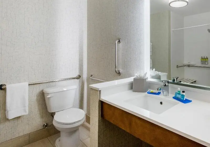 スタンダードルーム, Holiday Inn Express & Suites   Ruskin, An Ihg