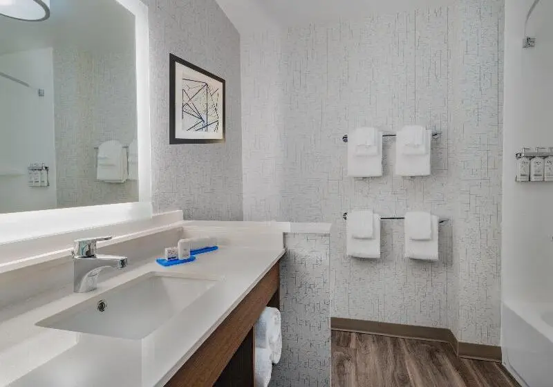 スタンダードルーム, Holiday Inn Express & Suites   Ruskin, An Ihg