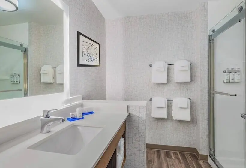 スイート, Holiday Inn Express & Suites   Ruskin, An Ihg
