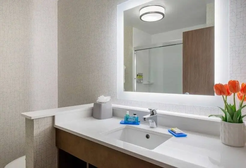 スイート, Holiday Inn Express & Suites   Ruskin, An Ihg