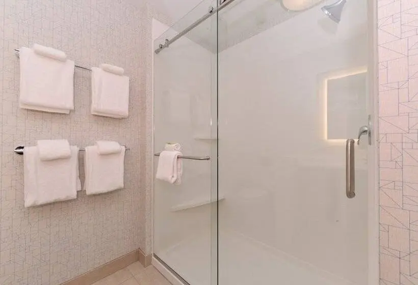 スイート, Holiday Inn Express & Suites   Ruskin, An Ihg
