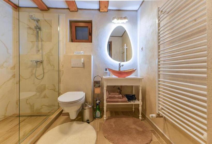 带大床的高级房间, Flori Haus Saschiz