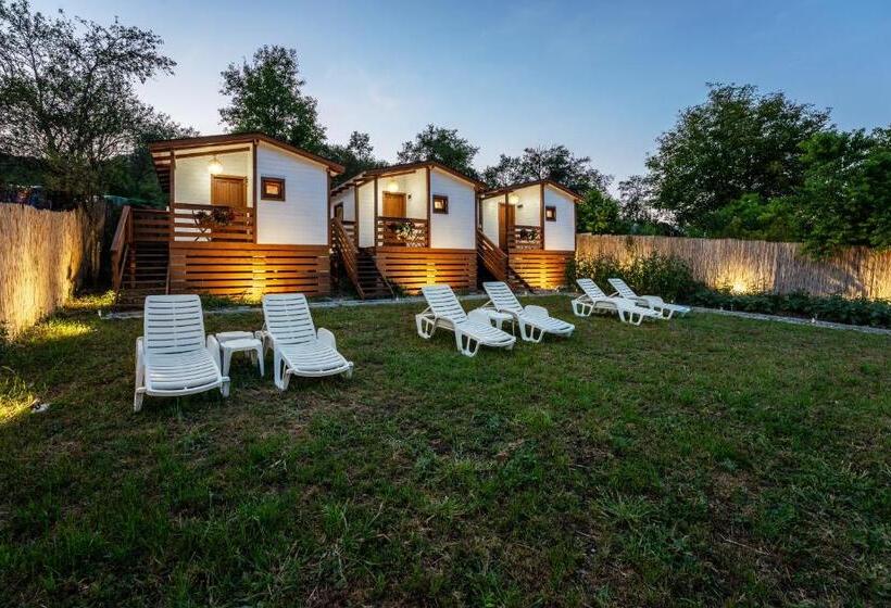 带1个卧室的别墅, Flori Haus Saschiz