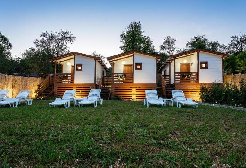 标准房带园景, Flori Haus Saschiz