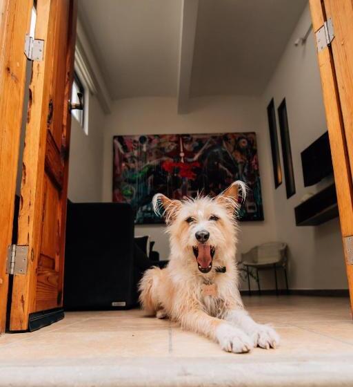 סוויטה משפחתית, Tabaa Oaxaca