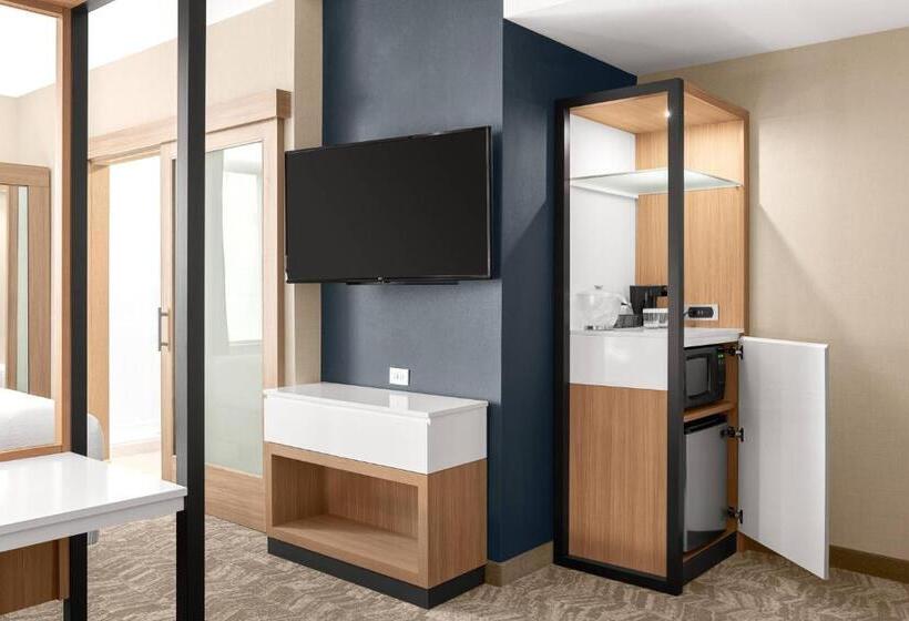 キングサイドベッドのスタンダードワンルーム, Springhill Suites By Marriott Jackson