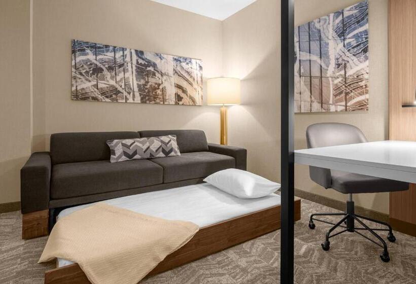 キングサイドベッドのスタンダードワンルーム, Springhill Suites By Marriott Jackson
