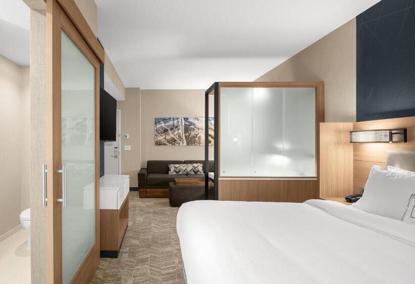 キングサイドベッドのスタンダードワンルーム, Springhill Suites By Marriott Jackson