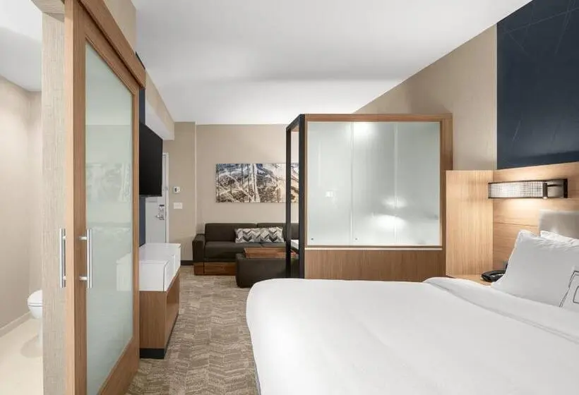 Standard-studio King-vuode, Springhill Suites By Marriott Jackson