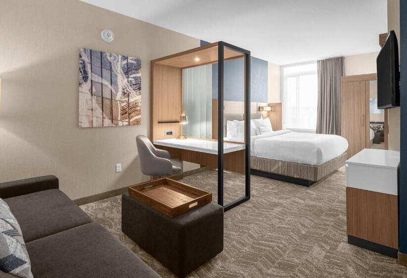 キングサイドベッドのスタンダードワンルーム, Springhill Suites By Marriott Jackson
