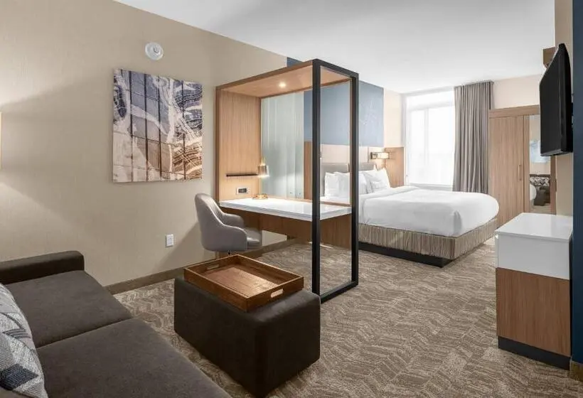 Standard-studio King-vuode, Springhill Suites By Marriott Jackson